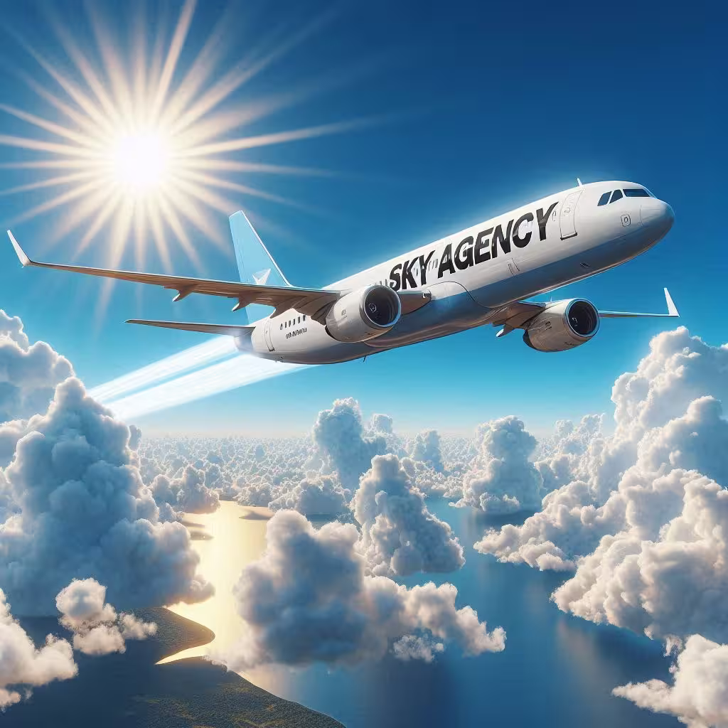 Un avion écrit dessus Sky Agency